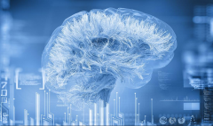 美國(guó)高防服務(wù)器如何防御DDoS攻擊